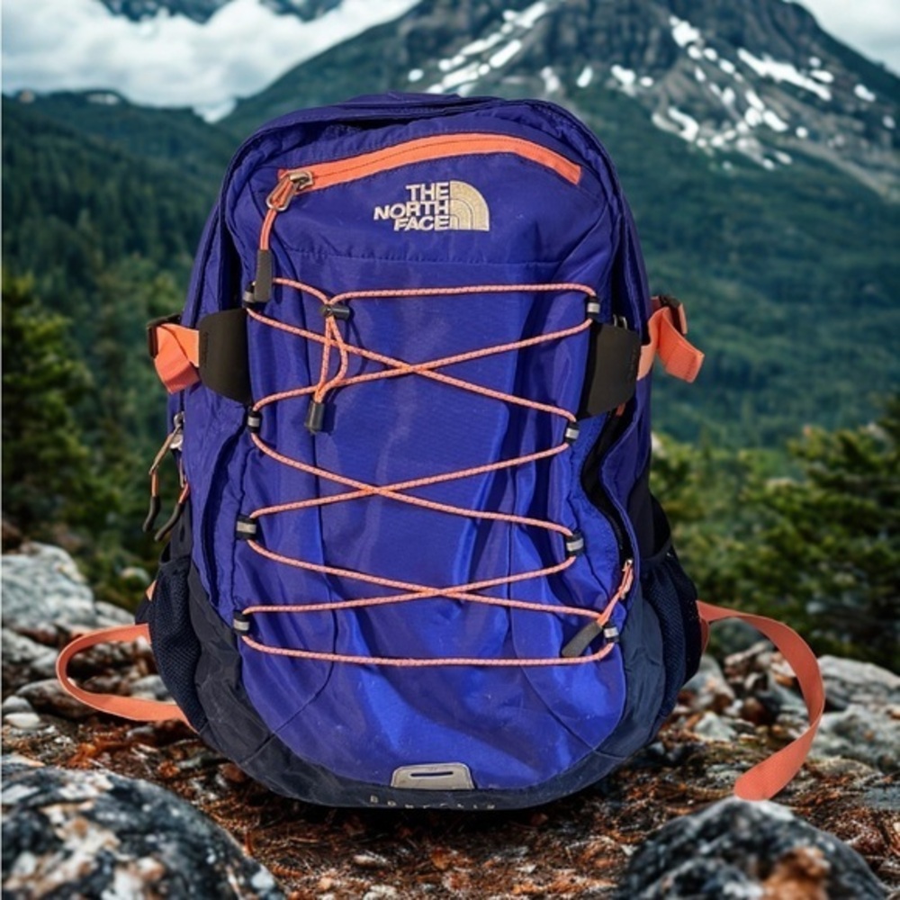 The North Face Borealis Laptop Backpack